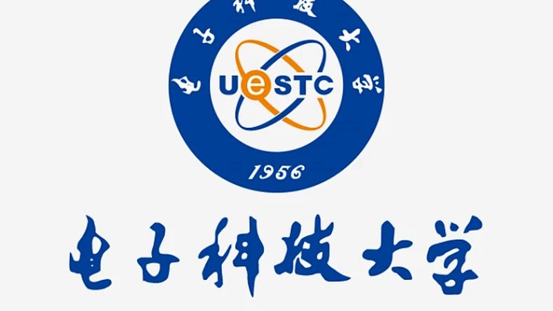 消费电子代工报价背后的考量因素**